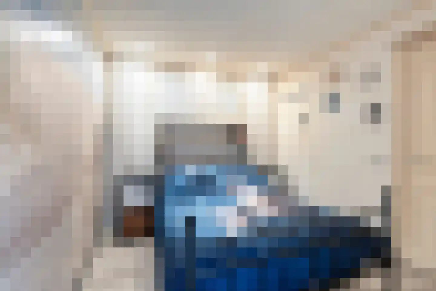 Daliastraat 42 Asten thumbnail 11