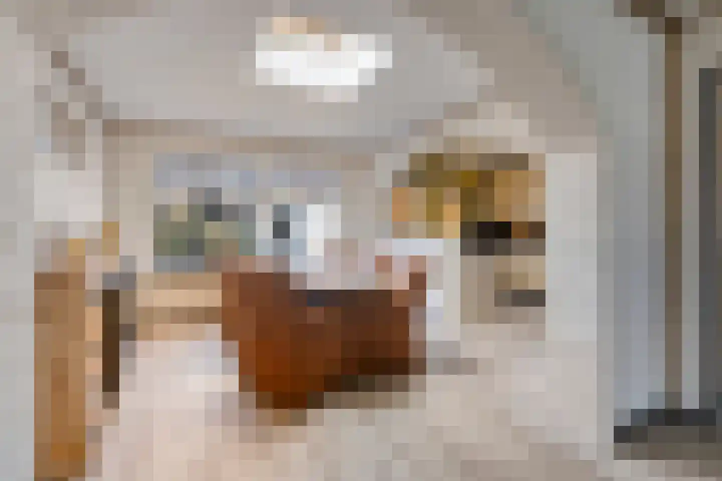 Daliastraat 42 Asten thumbnail 5
