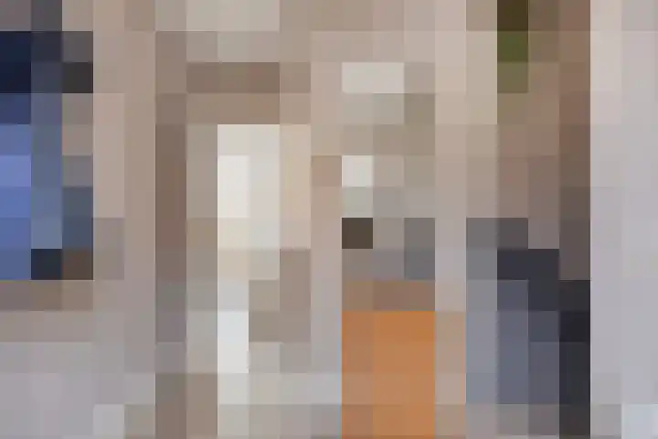 Daliastraat 44 Asten thumbnail 11