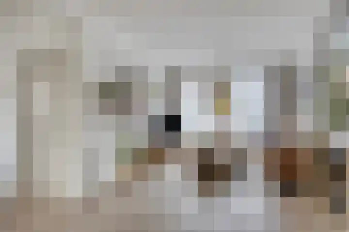 Daliastraat 44 Asten thumbnail 12