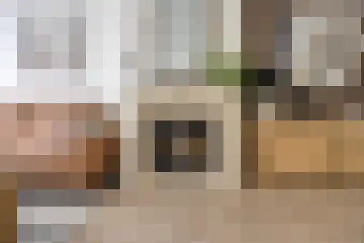Daliastraat 44 Asten thumbnail 14