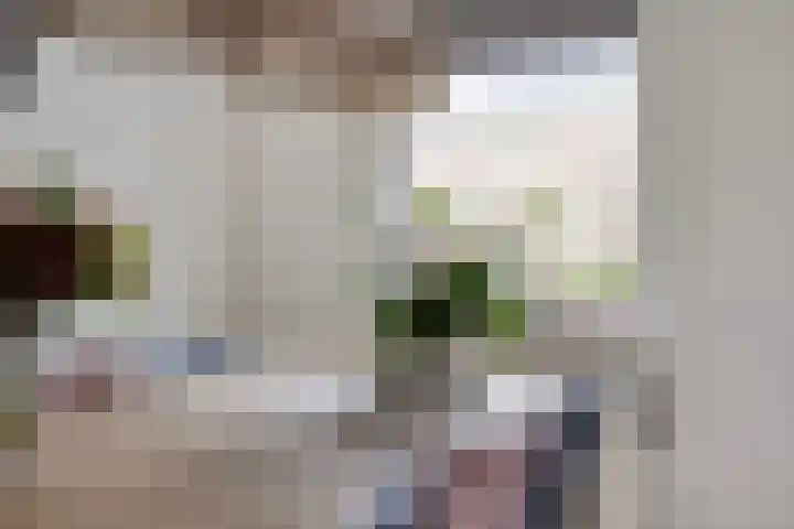 Daliastraat 44 Asten thumbnail 19