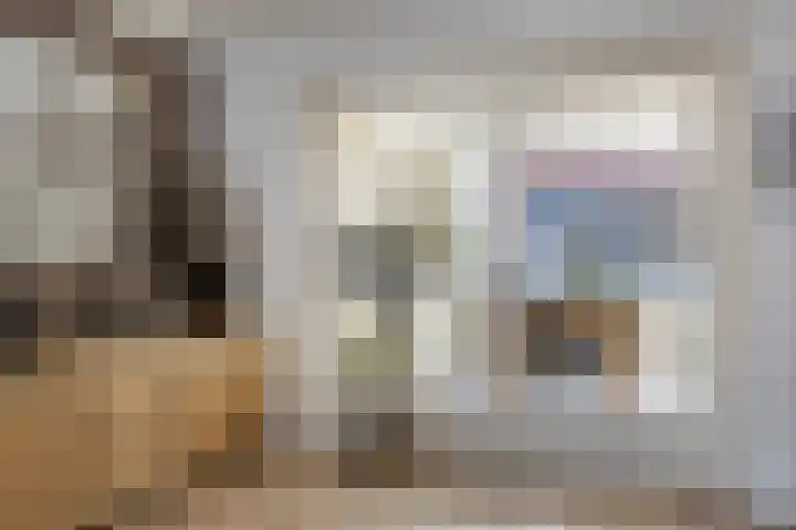 Daliastraat 44 Asten thumbnail 20