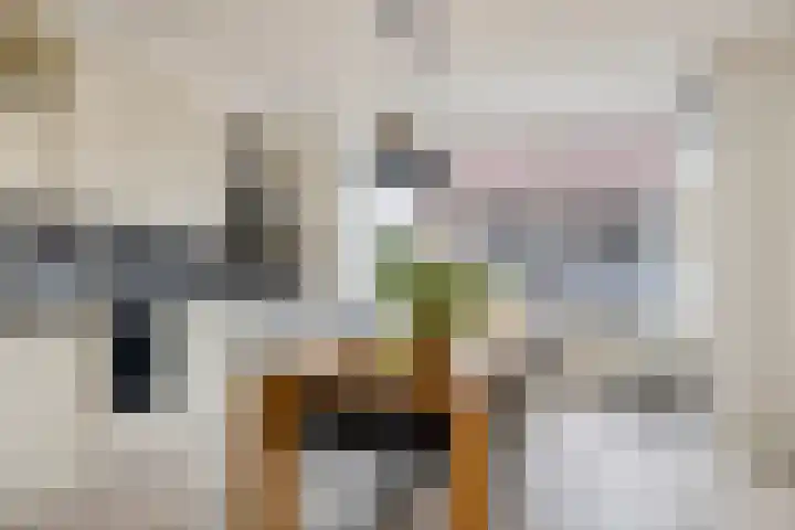 Daliastraat 44 Asten thumbnail 21
