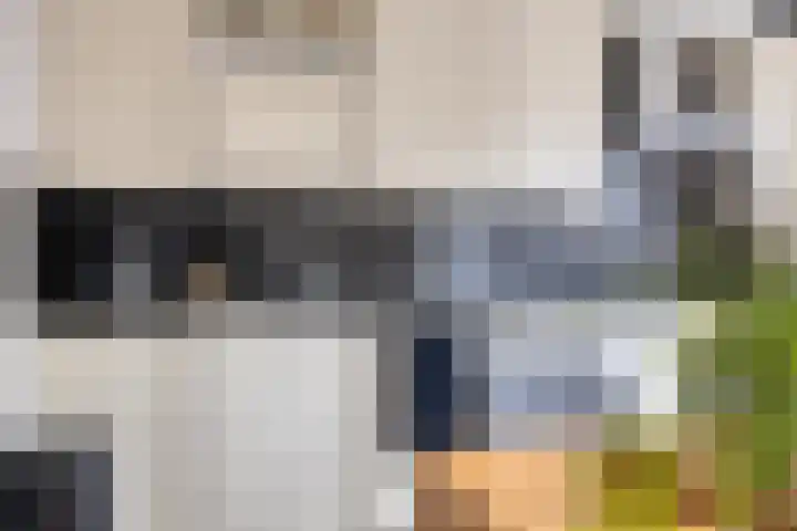 Daliastraat 44 Asten thumbnail 22