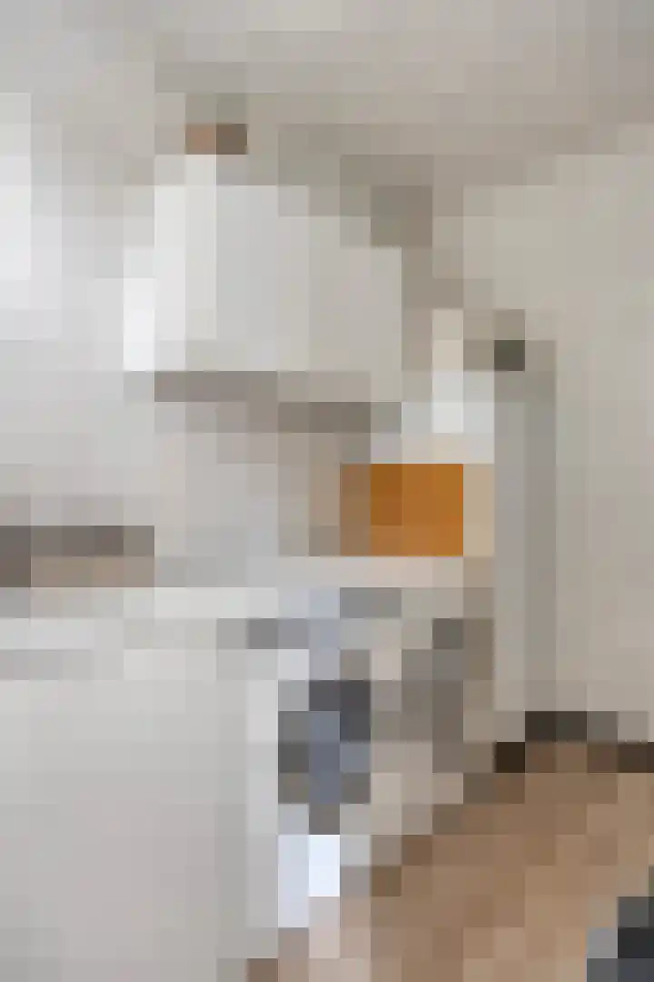 Daliastraat 44 Asten thumbnail 25