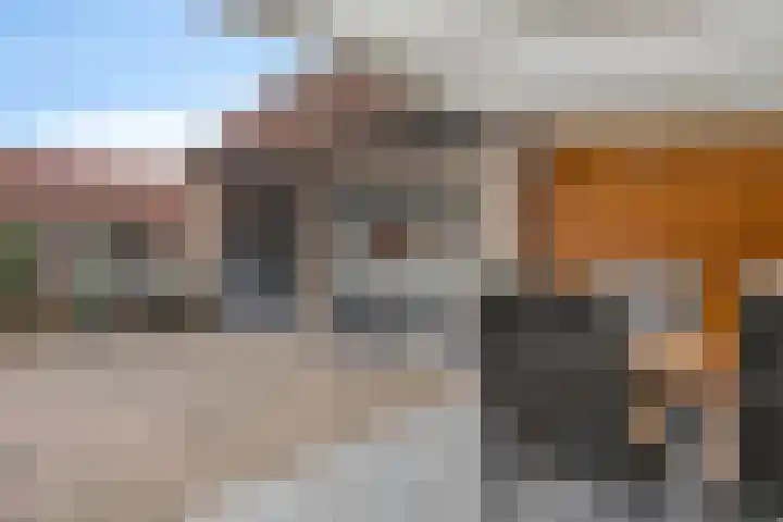 Daliastraat 44 Asten thumbnail 4