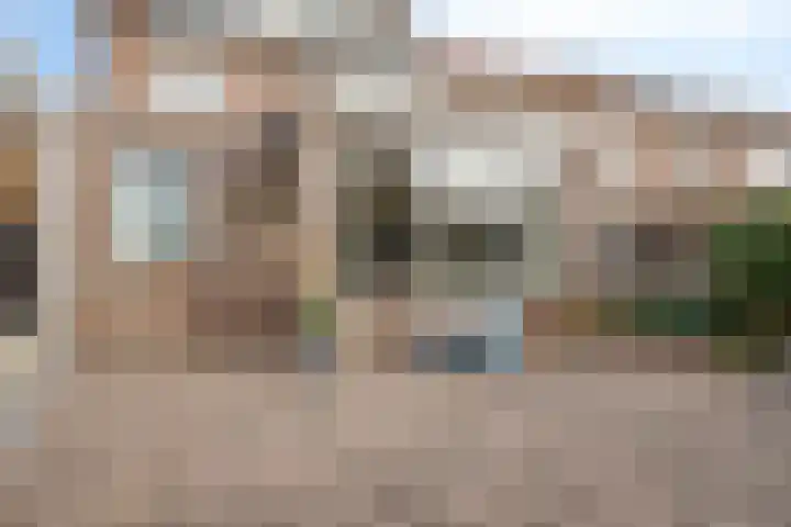 Daliastraat 44 Asten thumbnail 41