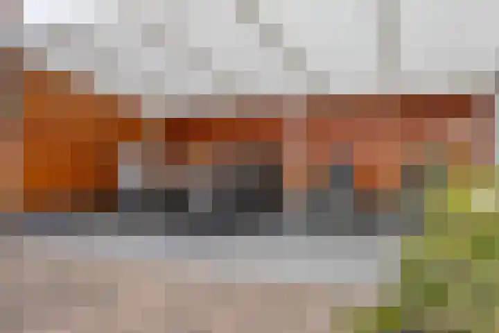 Daliastraat 44 Asten thumbnail 43
