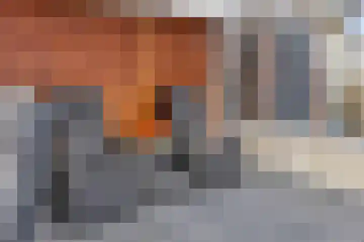Daliastraat 44 Asten thumbnail 44
