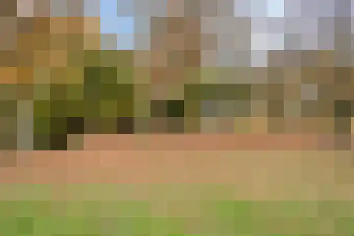 Daliastraat 44 Asten thumbnail 60