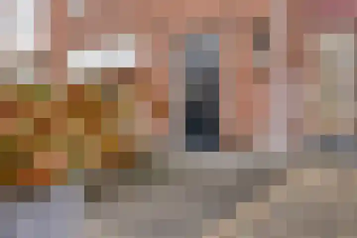 Daliastraat 44 Asten thumbnail 8
