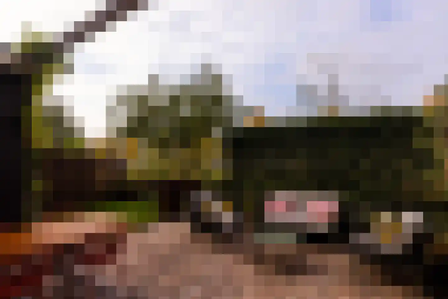 Dalidastraat 43 Lent thumbnail 20