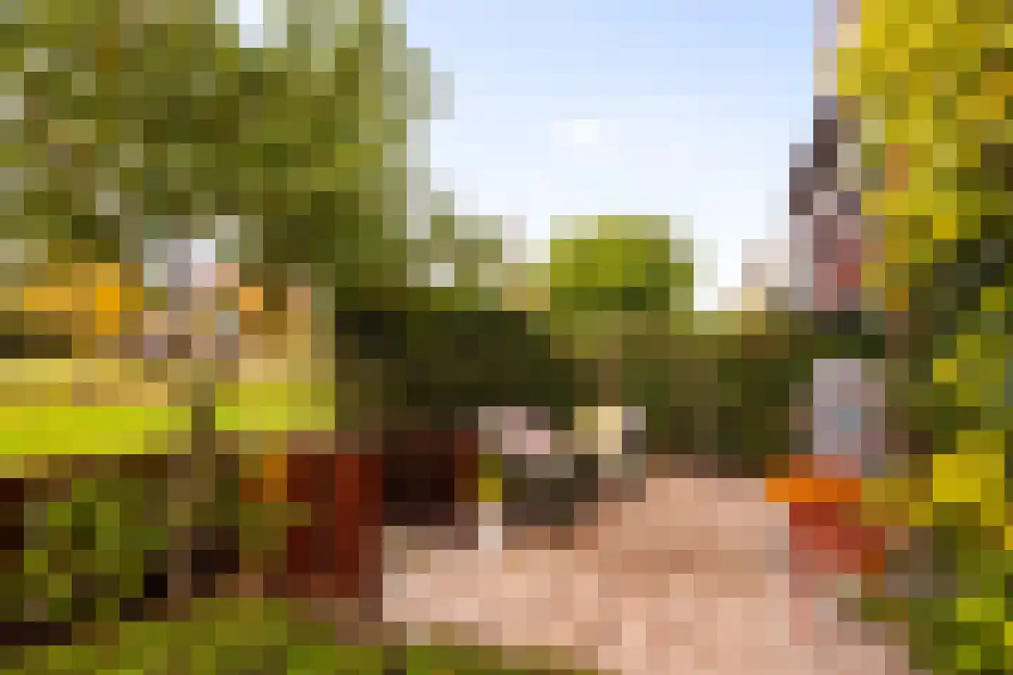 Dalidastraat 43 Lent thumbnail 21
