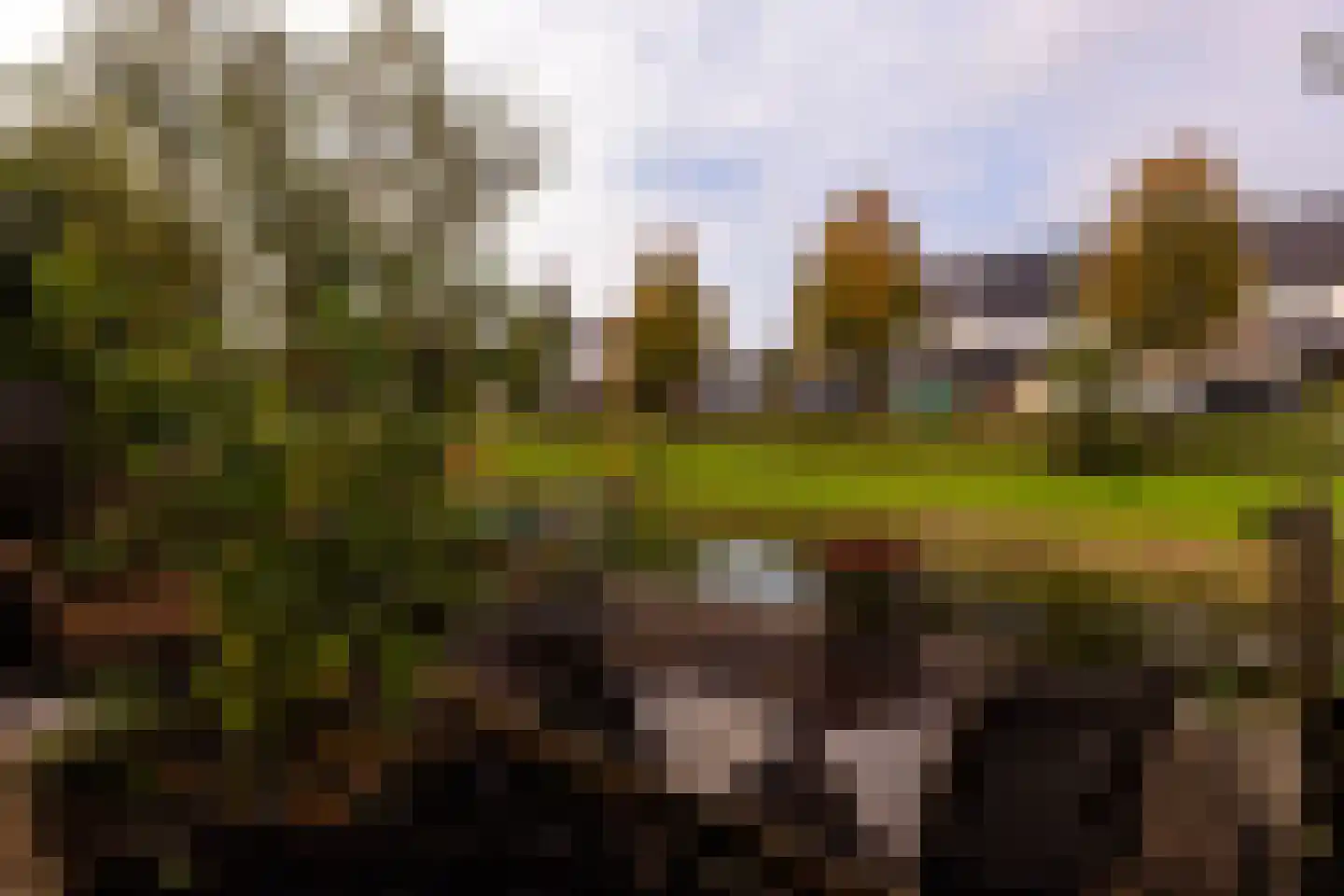 Dalidastraat 43 Lent thumbnail 23