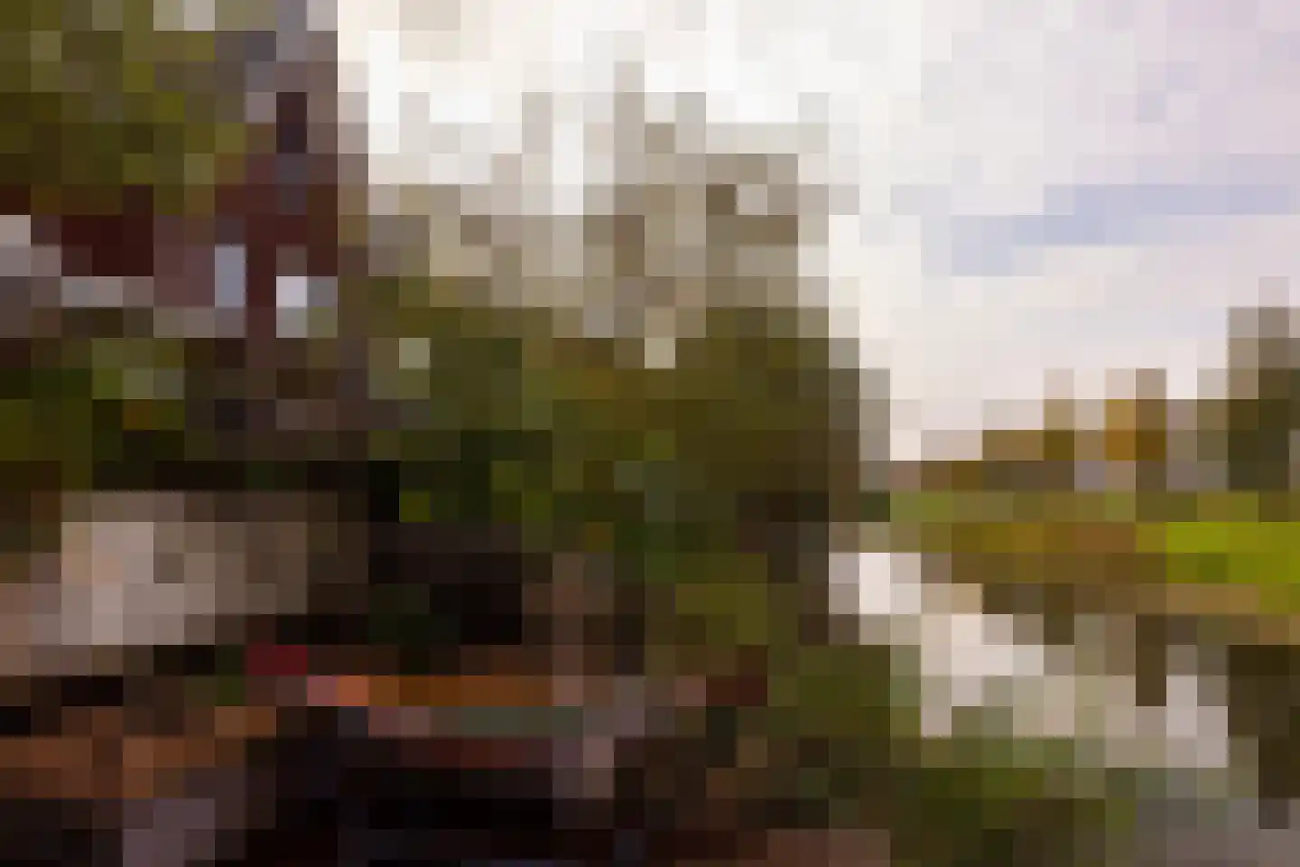 Dalidastraat 43 Lent thumbnail 24