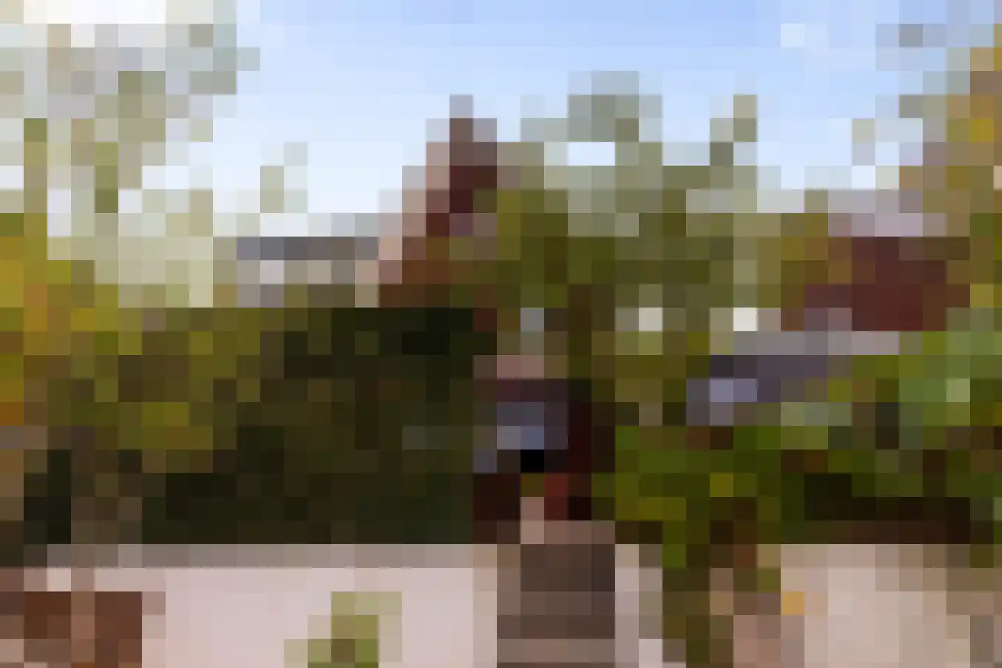 Dalidastraat 43 Lent thumbnail 25