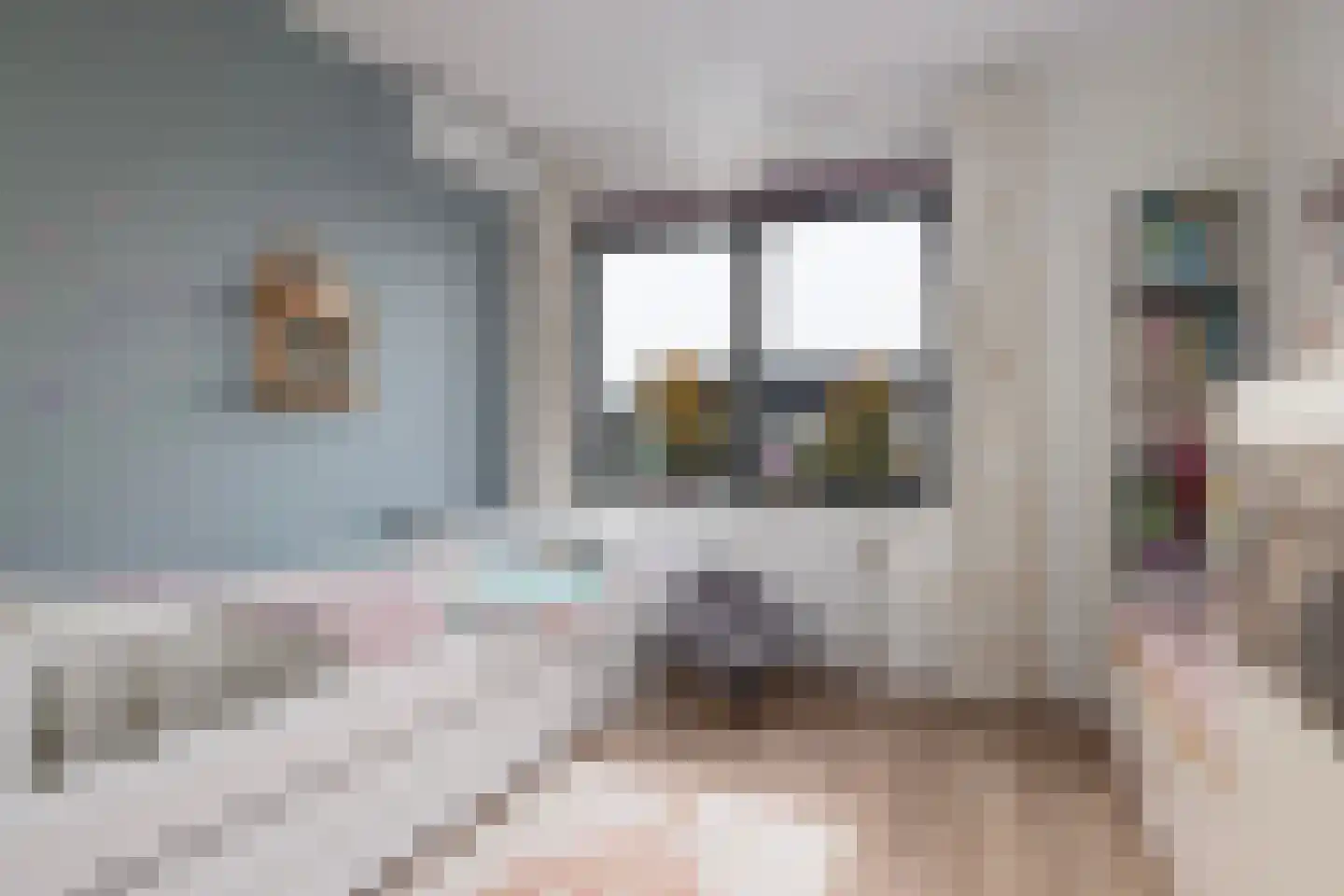 Dalidastraat 43 Lent thumbnail 32