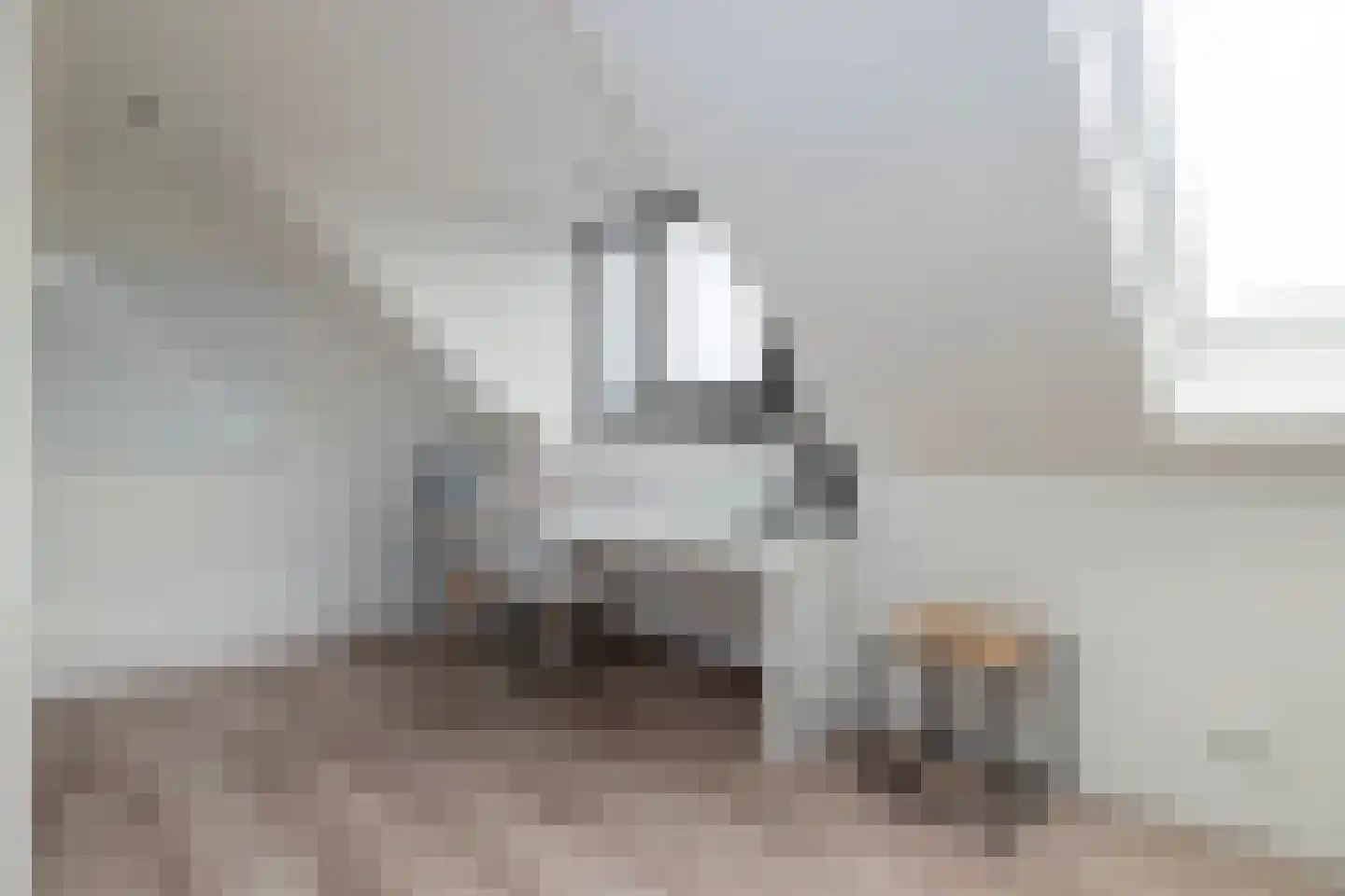 Dalidastraat 43 Lent thumbnail 35
