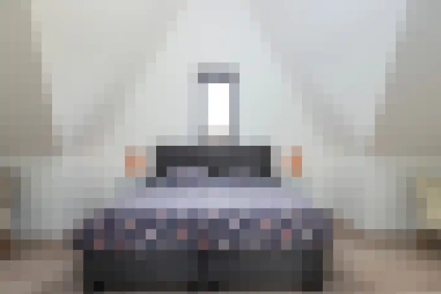 Dalidastraat 43 Lent thumbnail 37