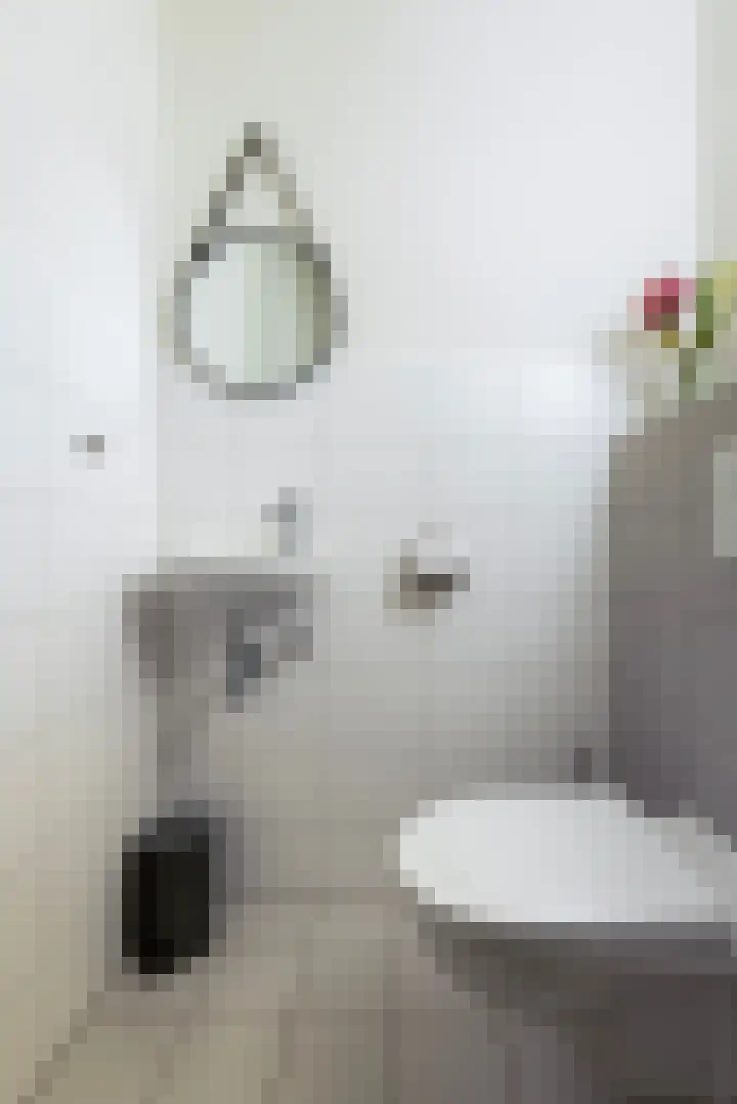 Dalidastraat 43 Lent thumbnail 8