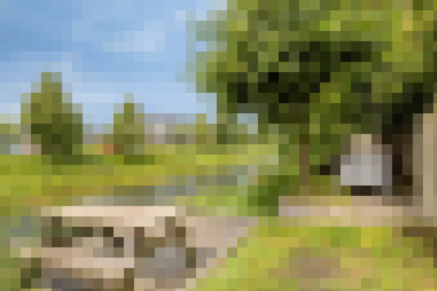 Dalidastraat 9 Lent thumbnail 14