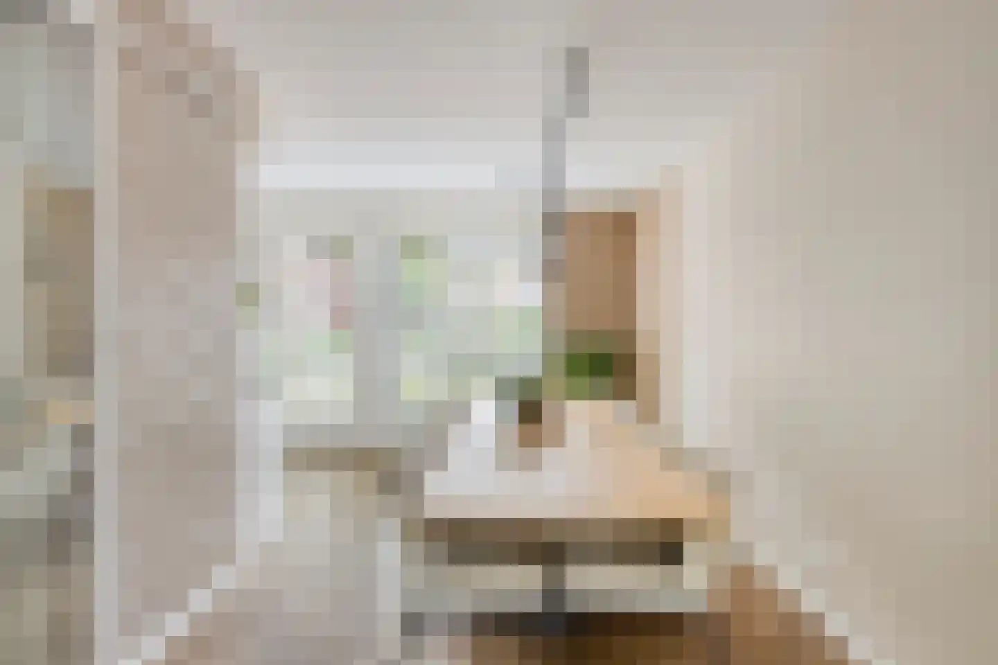 Dalidastraat 9 Lent thumbnail 16