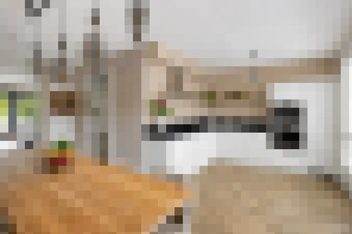 Dalidastraat 9 Lent thumbnail 17