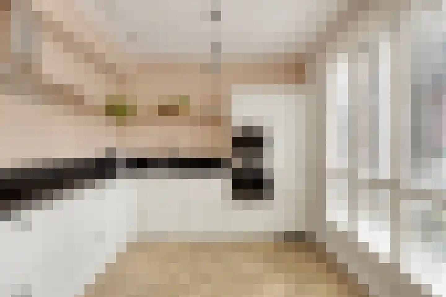 Dalidastraat 9 Lent thumbnail 19