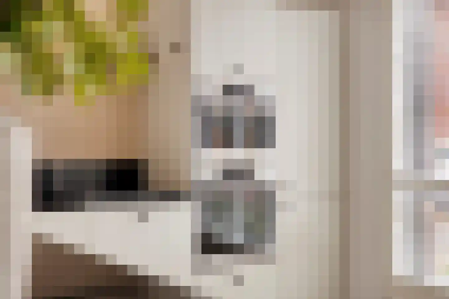 Dalidastraat 9 Lent thumbnail 20