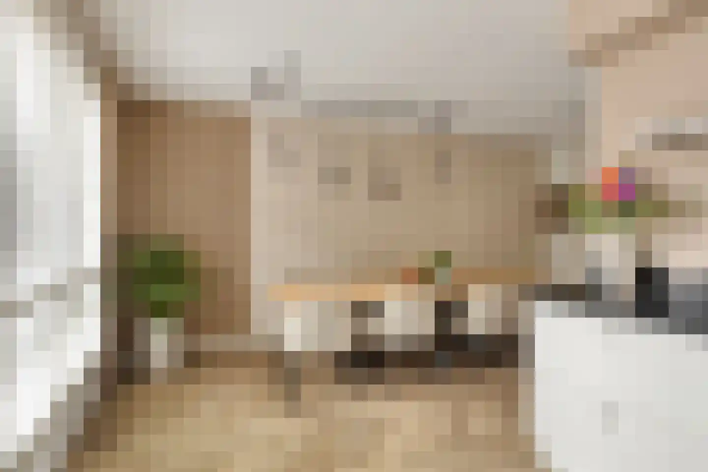 Dalidastraat 9 Lent thumbnail 21