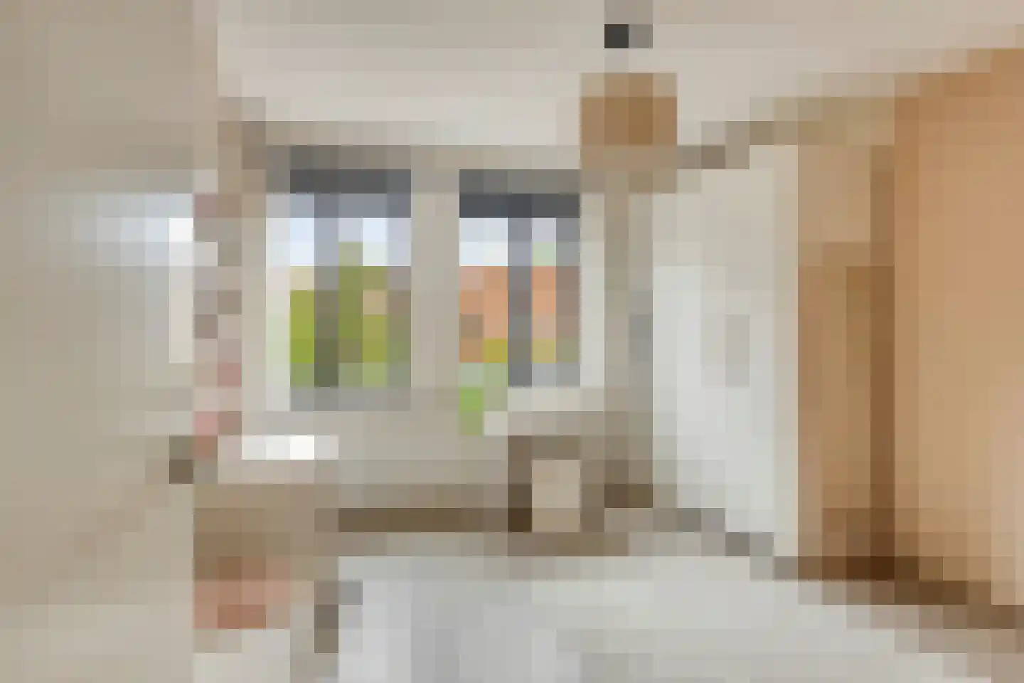 Dalidastraat 9 Lent thumbnail 25