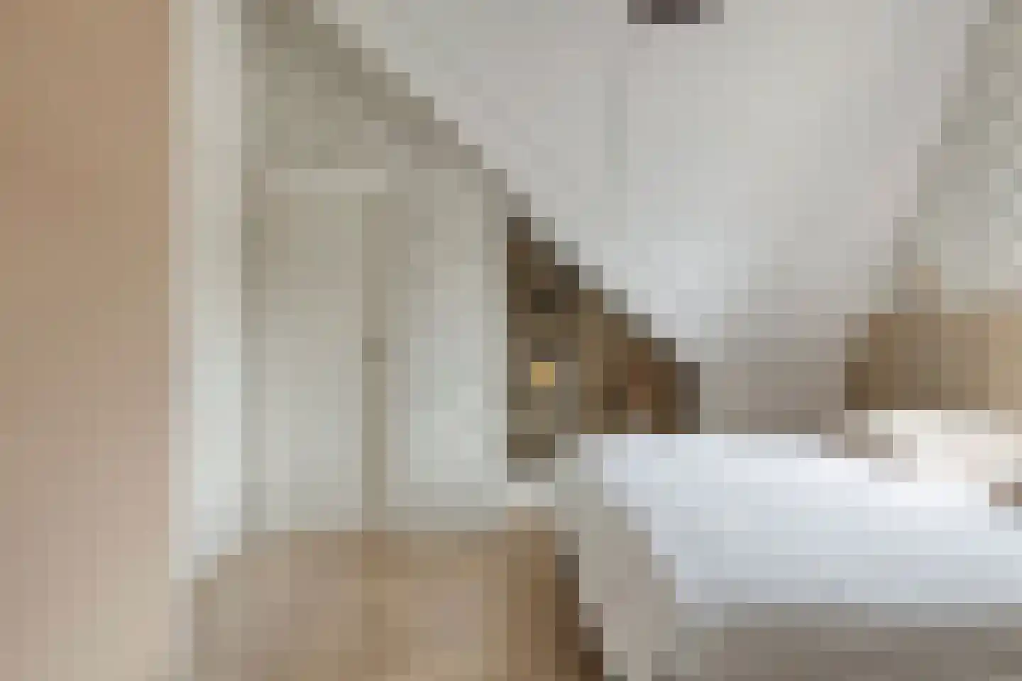 Dalidastraat 9 Lent thumbnail 38
