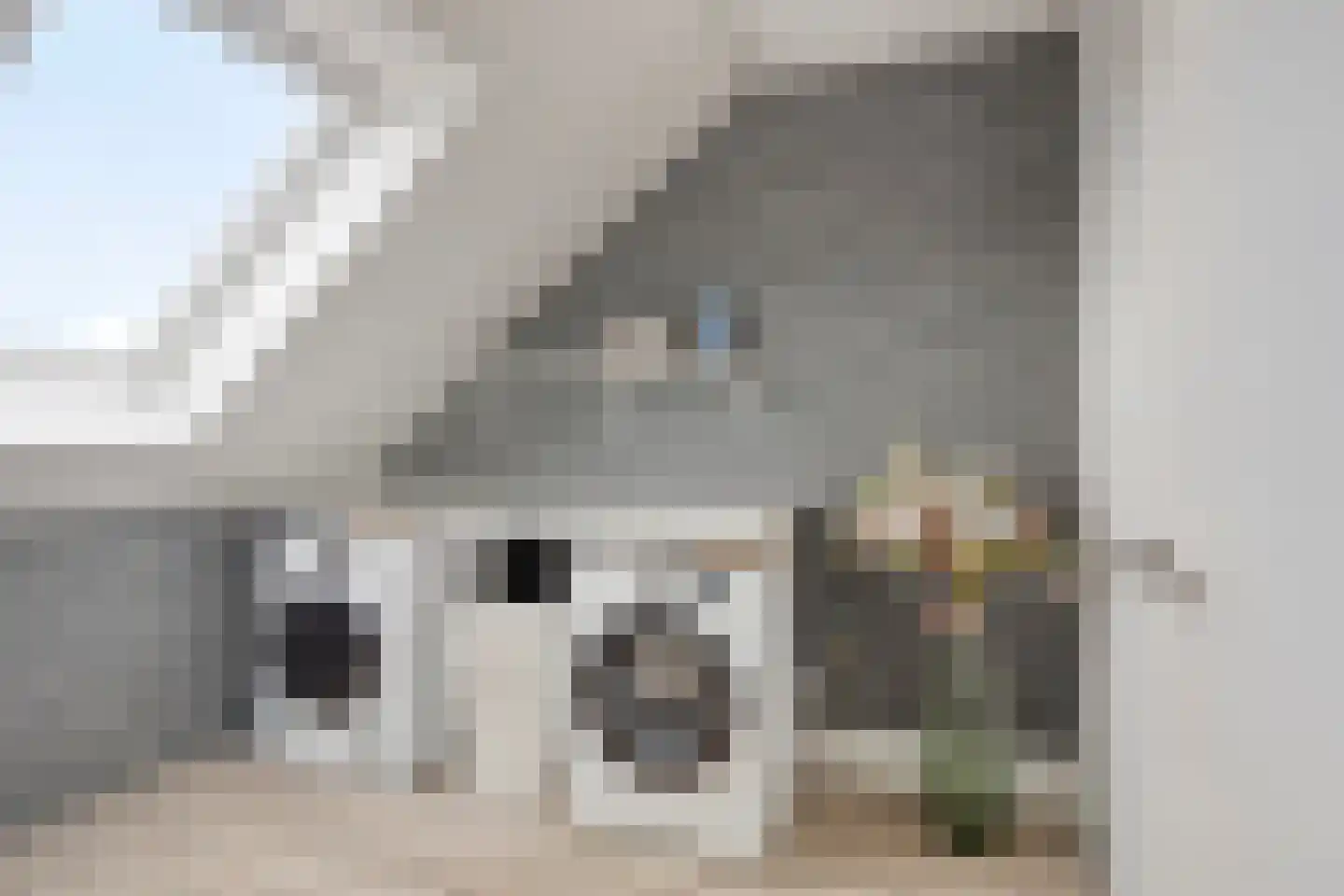 Dalidastraat 9 Lent thumbnail 43