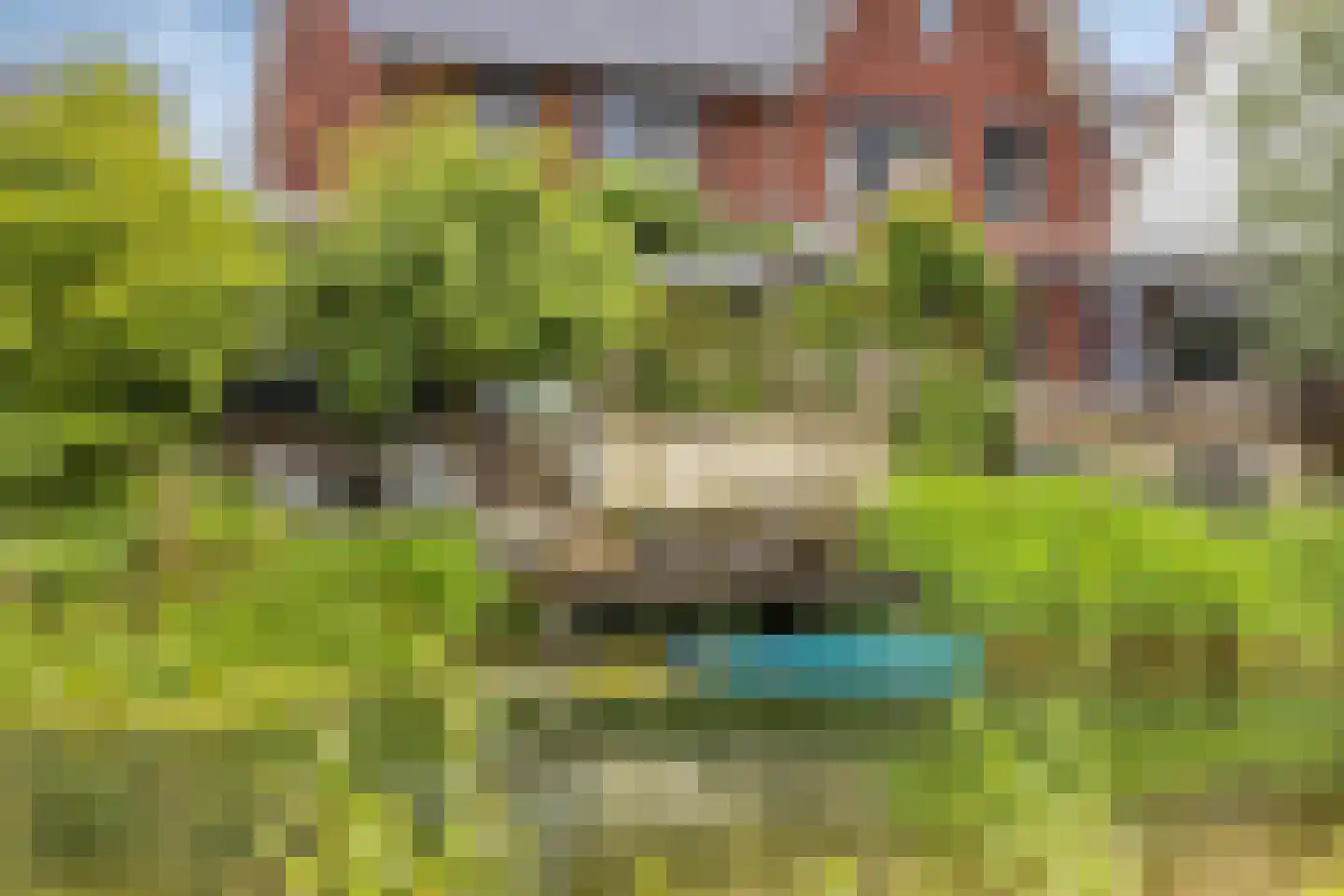 Dalidastraat 9 Lent thumbnail 44