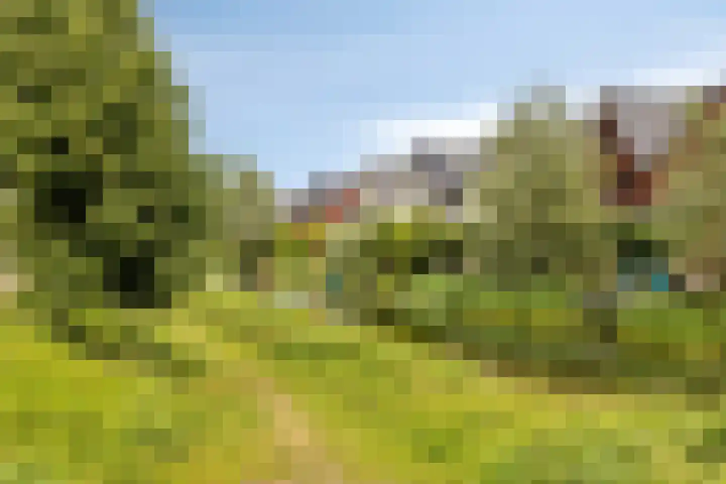 Dalidastraat 9 Lent thumbnail 45