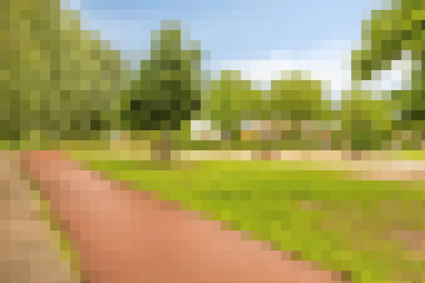 Dalidastraat 9 Lent thumbnail 49