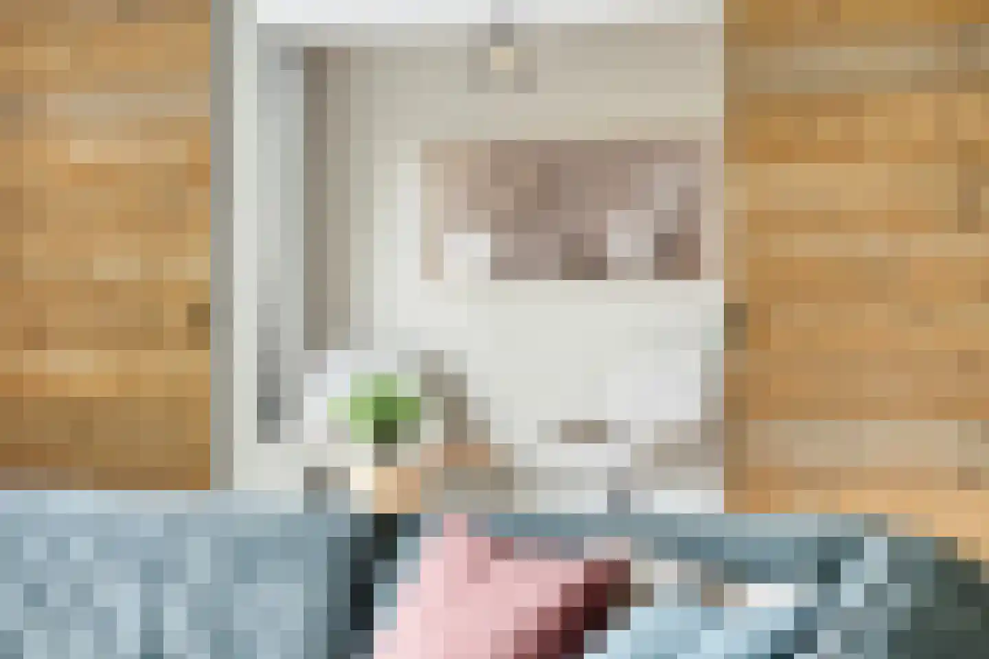 Dalidastraat 9 Lent thumbnail 5