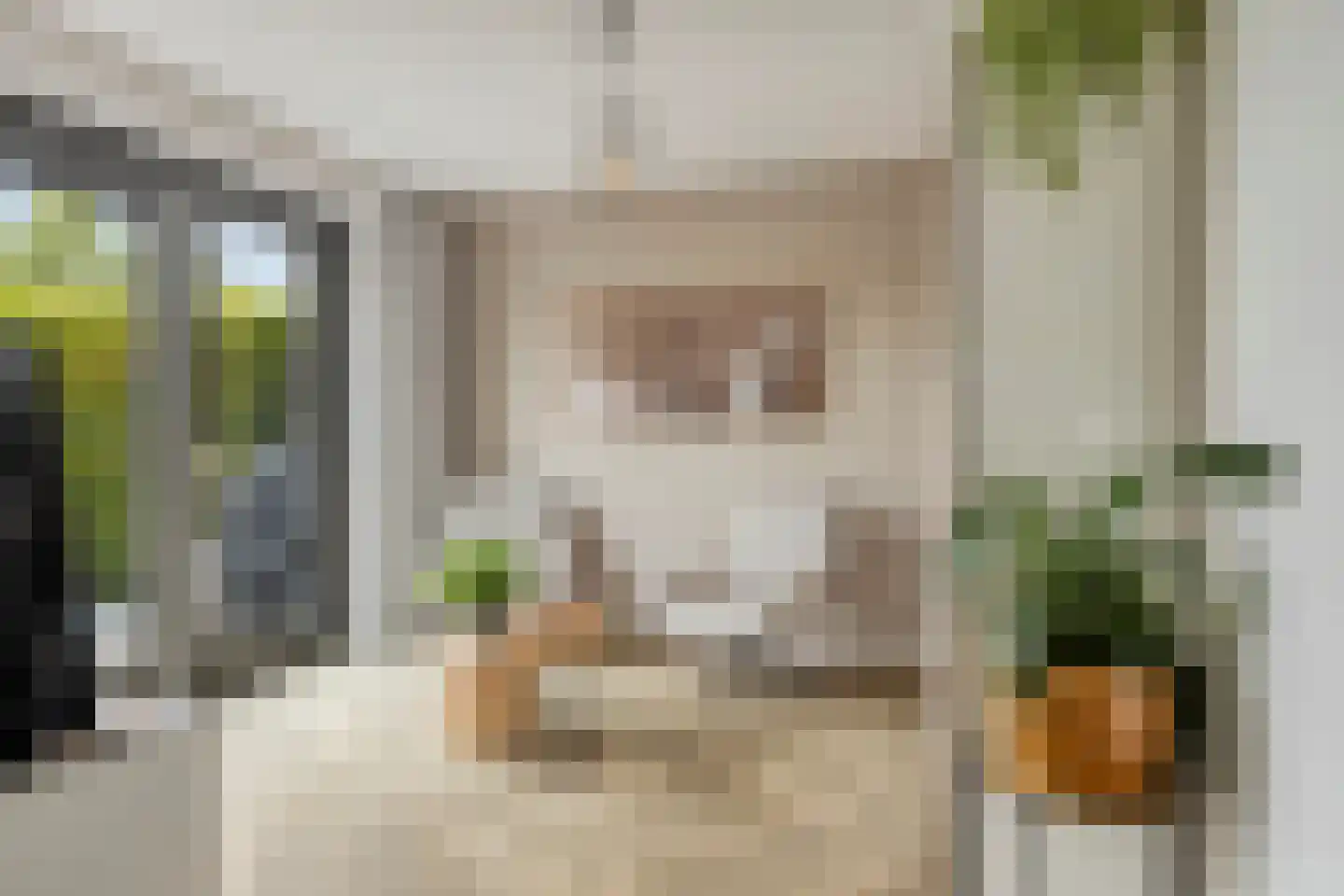 Dalidastraat 9 Lent thumbnail 6