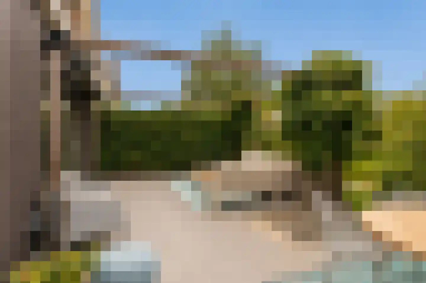 Dalidastraat 9 Lent thumbnail 9