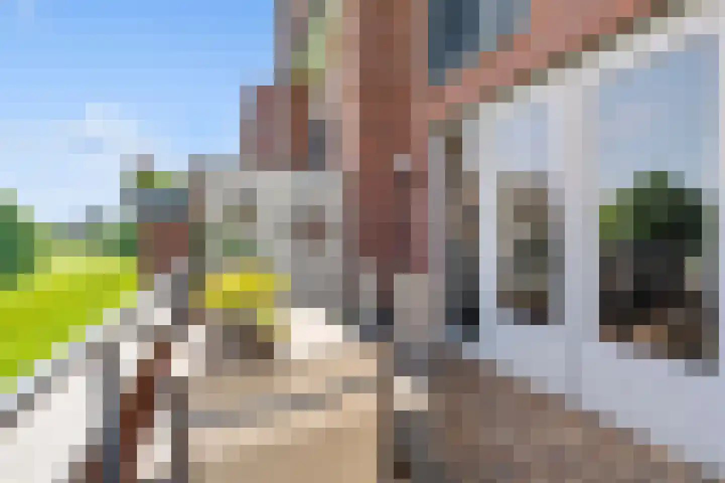 Daliënwaerd 103 's-Hertogenbosch thumbnail 11