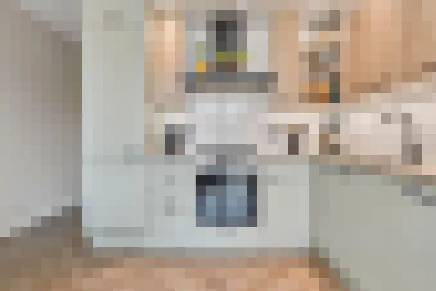 Daliënwaerd 103 's-Hertogenbosch thumbnail 14