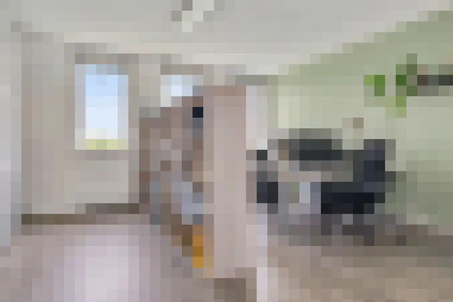 Daliënwaerd 103 's-Hertogenbosch thumbnail 34