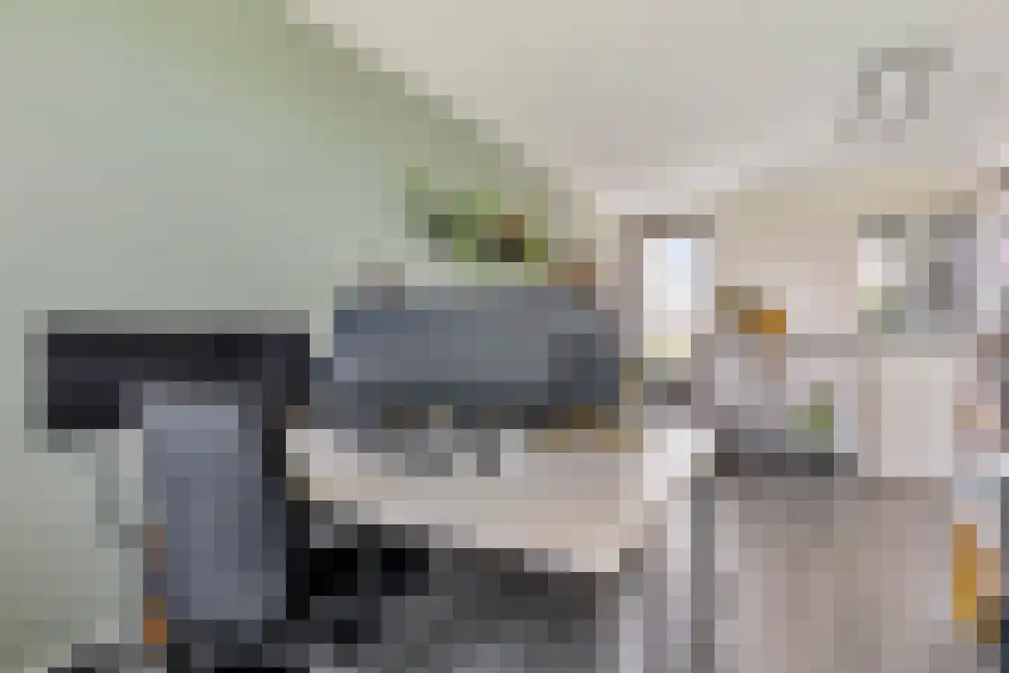 Daliënwaerd 103 's-Hertogenbosch thumbnail 37