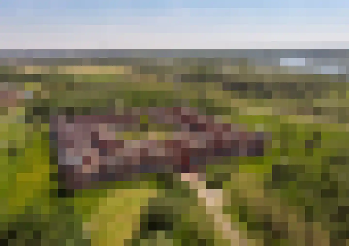 Daliënwaerd 103 's-Hertogenbosch thumbnail 47