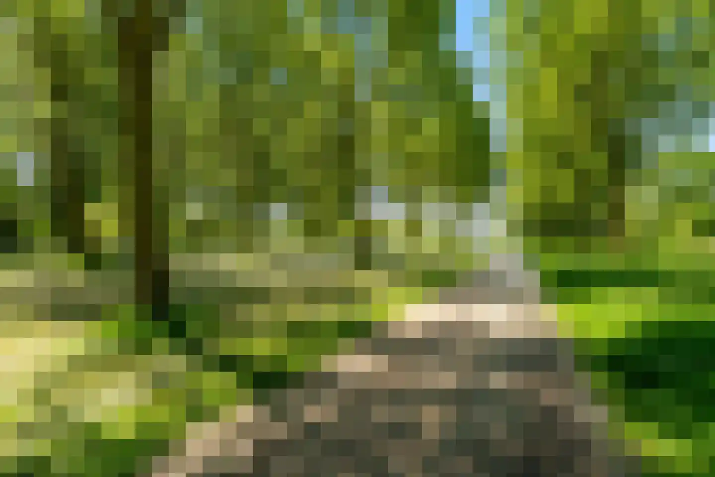 Daliënwaerd 103 's-Hertogenbosch thumbnail 49