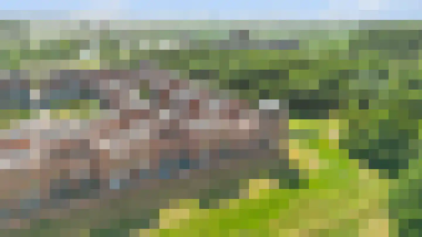 Daliënwaerd 103 's-Hertogenbosch thumbnail 52