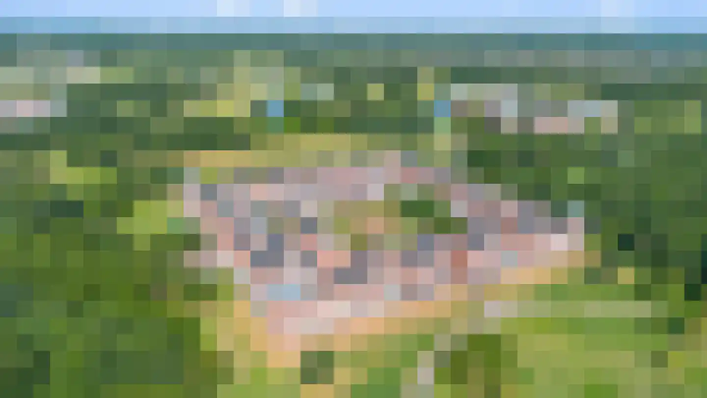 Daliënwaerd 103 's-Hertogenbosch thumbnail 53