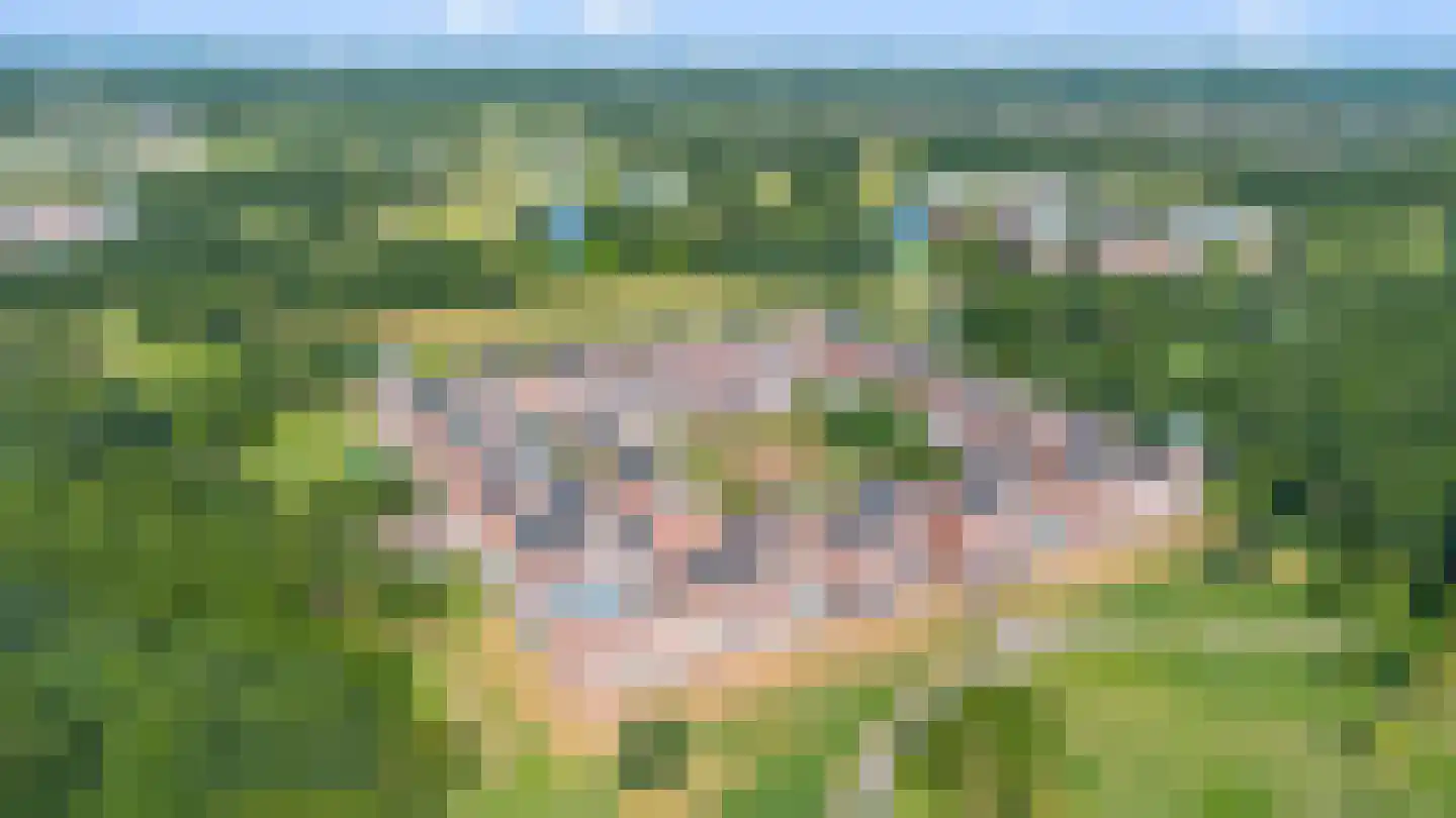 Daliënwaerd 103 's-Hertogenbosch thumbnail 53