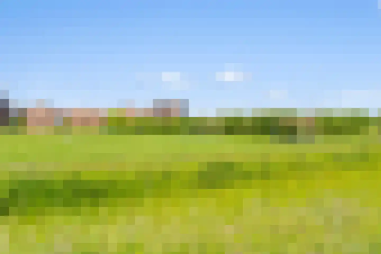 Daliënwaerd 103 's-Hertogenbosch thumbnail 54